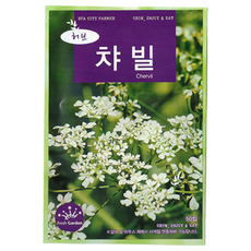 청농 허브씨 챠빌 씨앗 50립, 1개