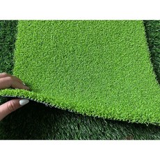 인조 잔디 축구장 1미터 줄긋기, 프룻그린 1번
