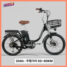 마르쉬 소형 전기자전거 전동 20인치 48V 400W 7단 성인용 입문용 주니어 남녀공용 미니벨로, 블랙/20Ah, 경량스틸