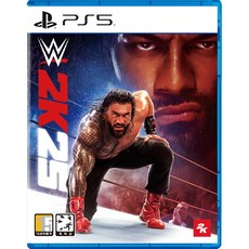 플레이스테이션 2K PS5 WWE 2K25 스탠다드 에디션