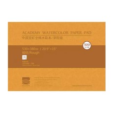 寶虹 水彩本 4K 四面封膠 全棉 中粗紋 水彩紙 20張 300磅, 4k粗紋(橘皮)