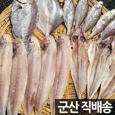 장스토어 제수용 생선 반건조 도미 1미 500g 군산항직송, 1세트, 제수용 도미 1미 500g 내외