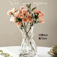 優選好物 高級感 簡約創意 不規則花瓶 透明玻璃 客廳桌麵插花 水養ins裝飾擺件 花瓶插花 玻璃花瓶 透明花瓶, 異形錢袋[透明]