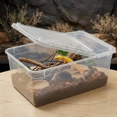 오든히 양문형 파충류 사육장 도마뱀 사육, 1개, 투명