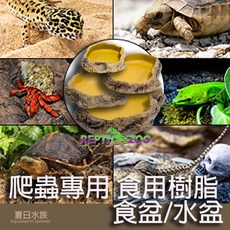 REPTIZOO 爬蟲餵食盆 水盆 爬蟲 陸龜 蜥蜴 守宮 食用級樹脂 餵食器, 1個, 水盆- M