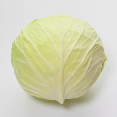 해풍맞고 자란 제주 양배추 겉잎제거 성장축진제무, 1박스, 3kg