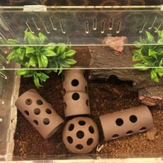 어항 수족관 새우 은신처 소형물고기은신처 작은어항은신처, 1개