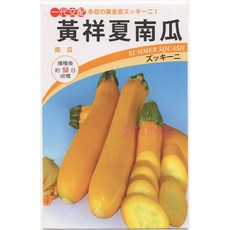 黃祥夏南瓜種子 櫛瓜 泰國進口 播種後約50天可收穫, 1包