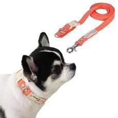 [패키지할인] [목줄 무료이름각인] 순면 강아지 고양이 목줄 + 핸즈프리 리드줄 세트, M (20mm), 20mm2.5M, 코랄