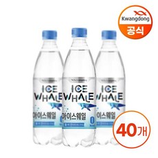 광동 아이스웨일 탄산수 플레인 500ml x 40펫, 40개