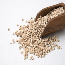 자연웰 21가지 잡곡 모음 국산 율무쌀 300g/국산율무 율무 연천율무, 1개, 300g