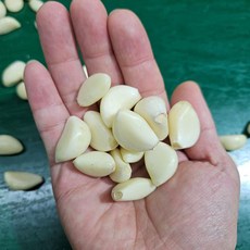 재구매1위 일등농수산 정품 창녕 깐마늘, 1개, 3kg 대사이즈 (특품)