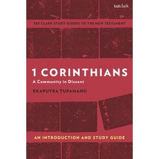 (英文圖書)1 Corinthians: A Community in Dissent: An Introduction and Study Guide 精裝版, T&T Clark, 英文