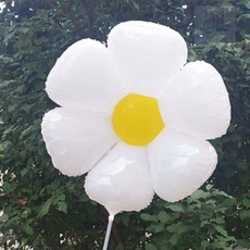 조은두리 꽃풍선 데이지