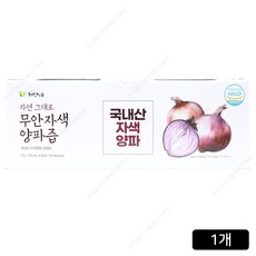 자연식품 자연 그대로 무안 자색양파즙, 100ml, 35개