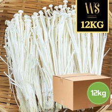 신선야채 팽이버섯 벌크포장 12kg, 2kg, 6개