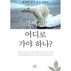 북극곰 어디로 가야 하나:황창연 신부 환경 에세이, 바오로딸, 황창연 저