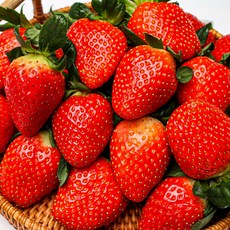 산지직송 고당도 산청 설향 딸기 1kg 상품 (60과 미만) 생딸기 GAP인증, 1개
