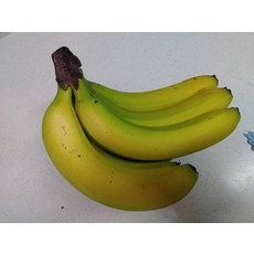 바나나 풍미왕 1송이 엄선 자연산 신선 대용량 식품 과일류 1.2kg 1개
