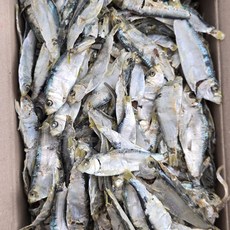 바다찬미 국내산 햇 디포리멸치(최상급) 육수용 국물용 멸치, 1박스, 1.5kg