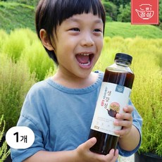 느린정성 무설탕 무가당 제로 생강청 생강차 생강진액 생강청원액 수제 국산 임산부, 1개, 1개입, 570g