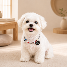 강아지 고양이 DIY 목걸이 길이 조절 가능 반려동물 액세서리 CWTJXQ034, 1개, 블랙 1개, 블랙