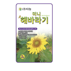 다농 미니 해바라기 난쟁이 씨앗 2g, 5개