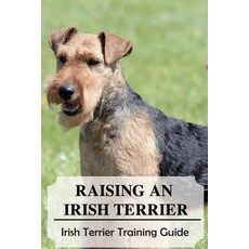 (영문도서) Raising An Irish Terrier: Irish Terrier Training Guide: Best Ways To Exercise Your Irish Terr... Paperback, Independently Published, English, 9798547360947