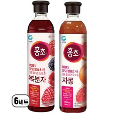 청정원 홍초 복분자 + 자몽, 6세트, 1.8L