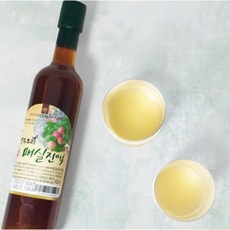 깨끗한 매실을 진하게 완주우리 매실진액 (500ml), 500ml, 1개