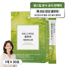 상큼한 하루 가볍게 한잔 부담 제로 샤인머스캣 콤부차, 1