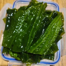 완도 곰피미역 쇠미역 1kg 2kg 생곰피 곰피쌈 채취, 1개