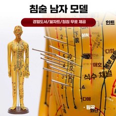 침자리 혈자리 경혈 인체 한방 침구학 인체모형 교육 전신 모형, 구리색여성소프트몰드52cm