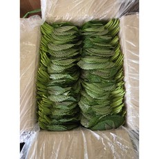 [당일경매] 국내산 찹찹이 깻잎 식자재 업소용 가정용 30g 1개