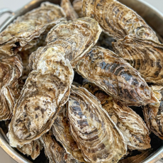 [당일채취] 자연산 각굴 석화 삼배체굴 생굴 횟감, 1개, 석화 10kg