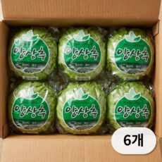 국내산 양상추 샐러드용 식자재용, 6개