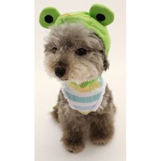 貝果貝果 日本 Pet Paradise 可愛青蛙立體變身裝 [D7889] 4S, 1個