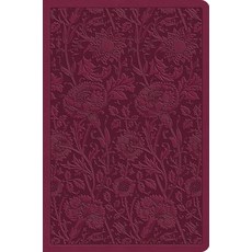 (영문도서)ESV Value Compact Bible (Trutone Raspberry Floral Design) Imitation Leather, Crossway, English, 9798874902803