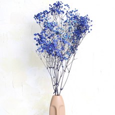 화연양화 프리저브드플라워 안개꽃 8색 시들지않는생화 디퓨저꽃, 07 블루