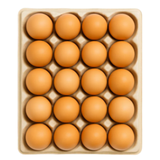 난각번호1번 계란 유정란 난각1번 HACCP 무항생제 달걀, 1개, 20구