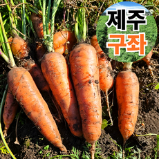 [풍년초특가] 아삭달콤 제주 구좌 당근, 1박스, 2kg 흙당근(중)