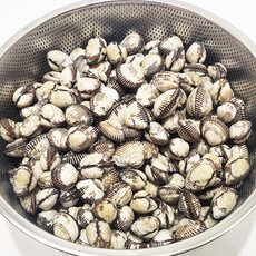 자연산 벌교 여자만 새꼬막 3kg(270미)세척 산지직송
