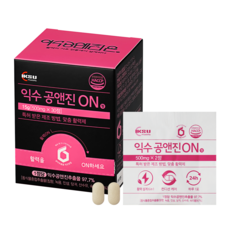 익수 공앤진ON정, 15g, 1박스