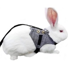 하이페티 다목적 토끼 조끼 하네스 및 목줄 세트 작은 동물 조절 가능한 부드러운 하네스와 버튼 장식 공식 수트 스타일 토끼 고양이 작은 동물 산책 L, 1개