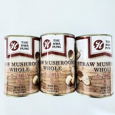 버섯캔 제품 초코버섯 홀 worldfood, 400g, 3개