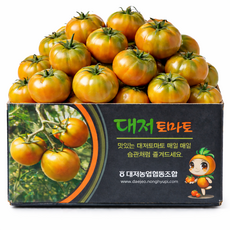 [타임특가] 대저정품 달콤짭짤한 대저토마토 산지직송, 1박스, 2.5kg (M)