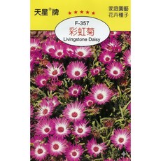 天星牌 彩虹菊 Livingstone Daisy 種子 (野菜部屋 Y29), 1包