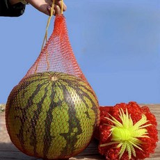 수박망 과일망 과일그물주머니 낙하 보호 수박 애플수박 그물망 워터멜론 50cm 빨간색 1... 1개, 40cm 빨간색 100 * 1개