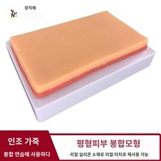 주사 실습 모형 엉덩이 교육 인체 근육 간호사 학원, 상처 봉합사 모델