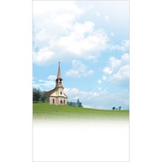 진흥팬시 4면 주보 1619 (100매입)